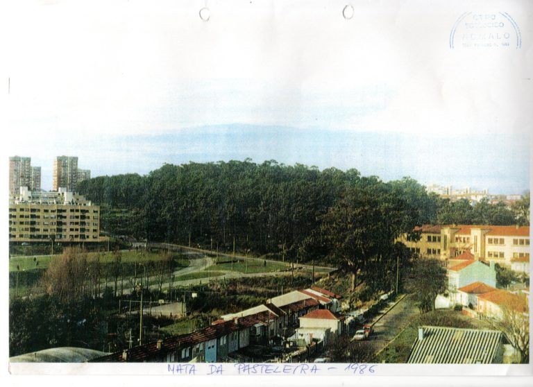 Mata da Pasteleira - Anos 80 (1986)