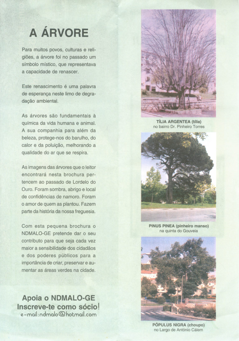 Árvores do Passado,desdobrável 2007_Verso
